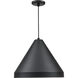 R Series 1 Light 17 inch Satin Black Indoor Pendant Ceiling Light